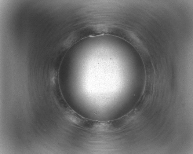 X0000069400125200605151029