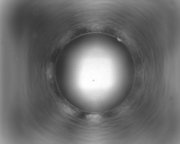 X0000069400133200605151028