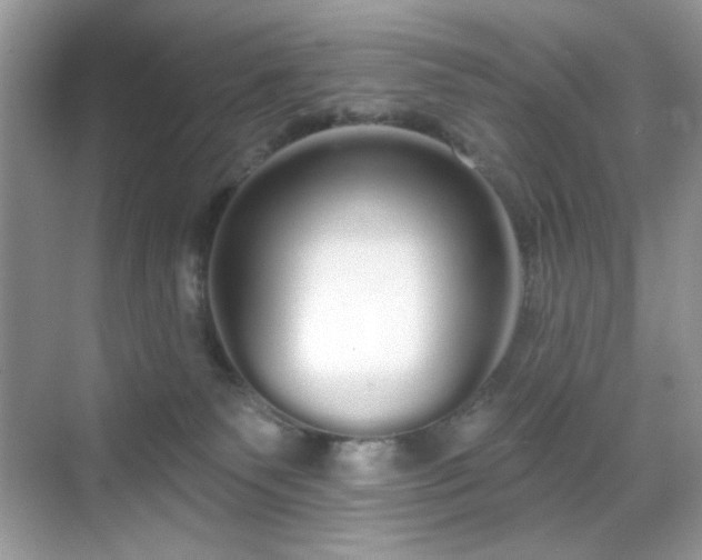X0000069400135200605151028