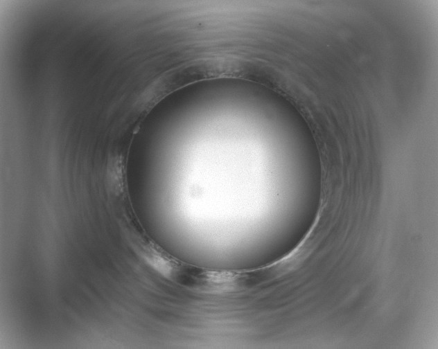X0000069400144200605151028