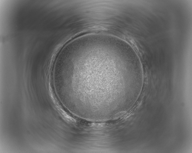 X0000069400145200605151027