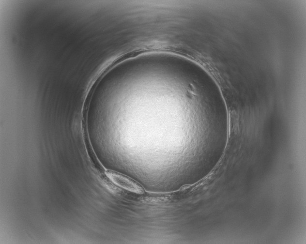 X0000069400147200605151027