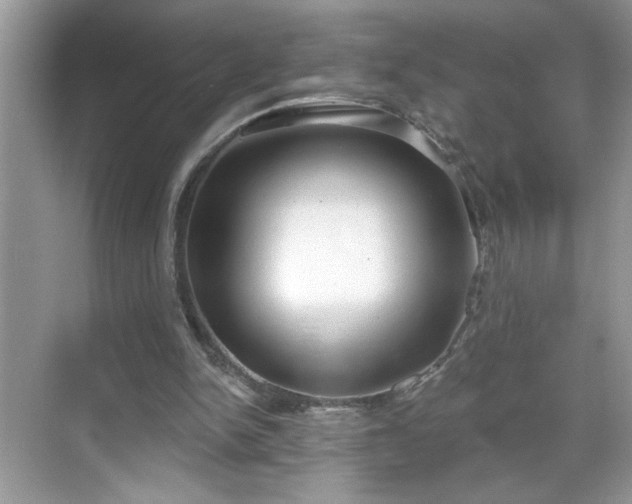 X0000069400150200605151028