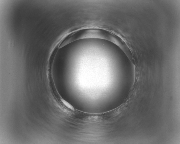 X0000069400152200605151028