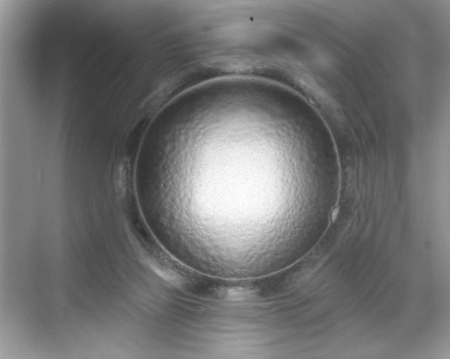 X0000069400165200605151028