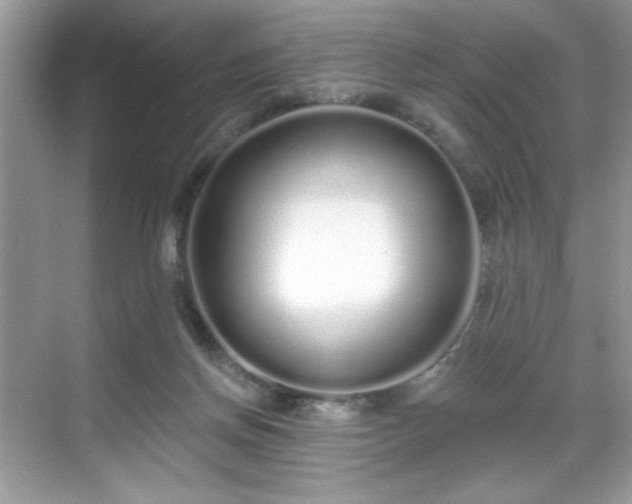 X0000069400166200605151028