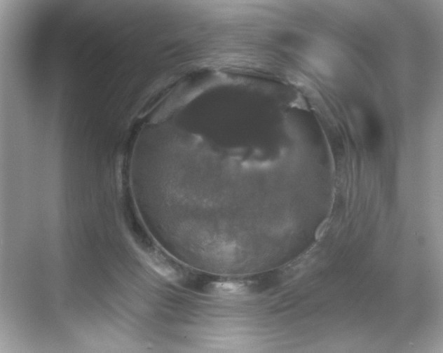 X0000069400167200605151028