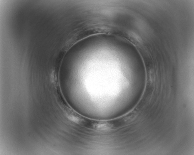 X0000069400173200605151028