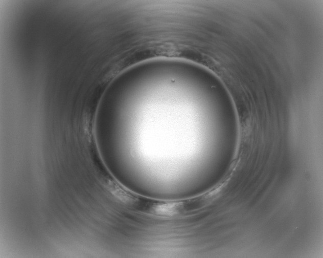 X0000069400178200605151028