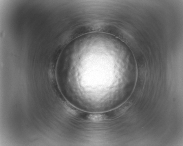 X0000069400181200605151028