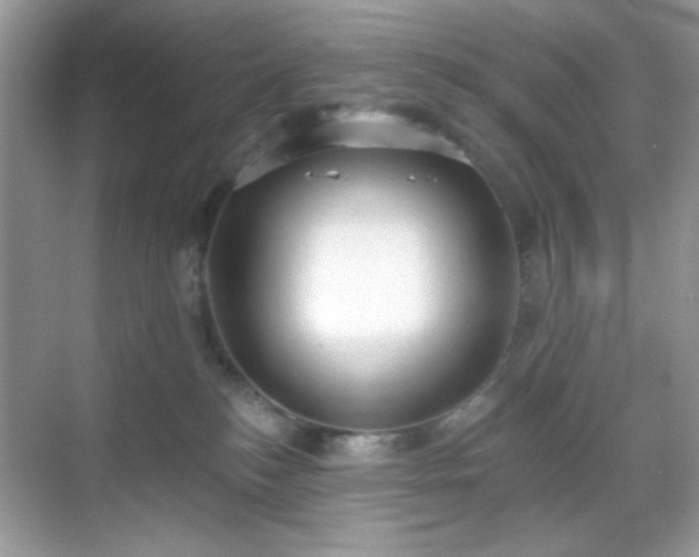 X0000069400184200605151028