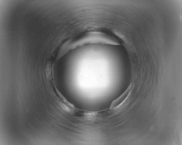 X0000069400192200605151028