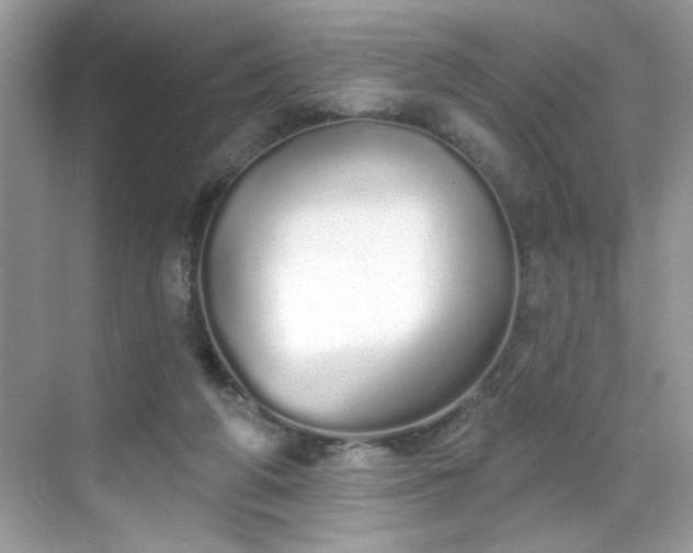 X0000069400210200605151027