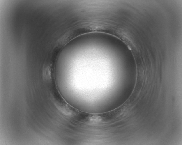 X0000069400214200605151027