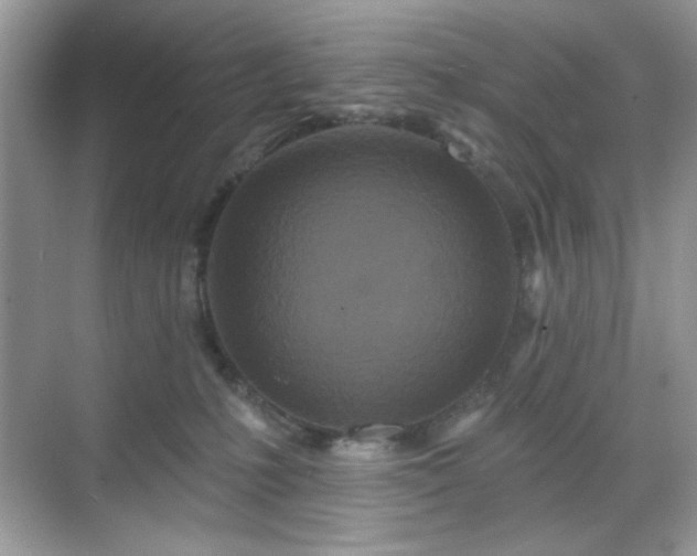 X0000069400231200605151027