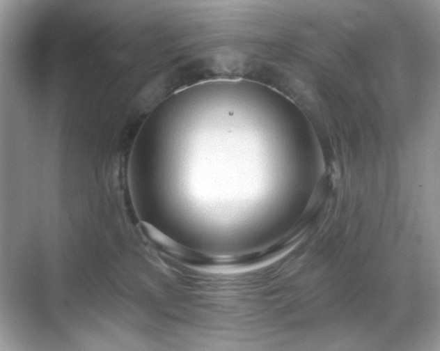 X0000069400233200605151027
