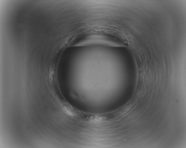 X0000069400235200605151027