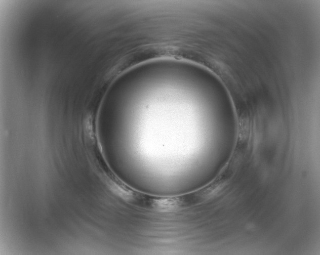 X0000069400238200605151027