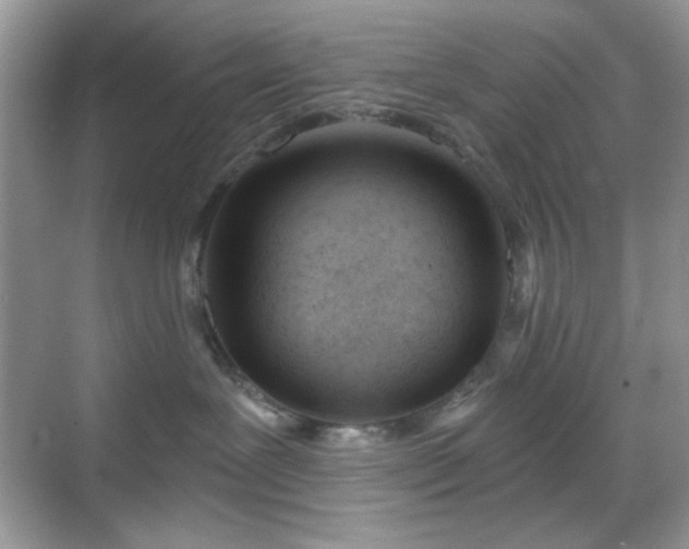 X0000069400239200605151027
