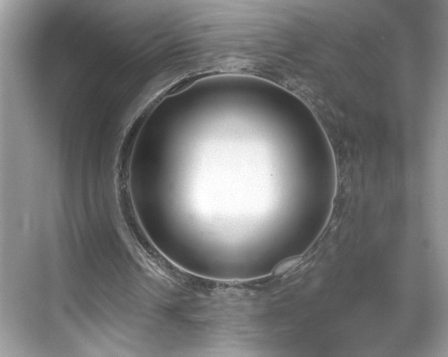 X0000069400242200605151026