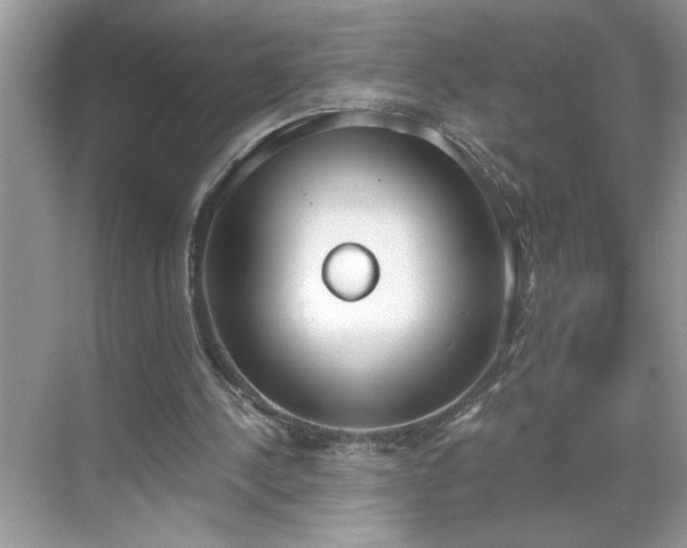 X0000069400244200605151026
