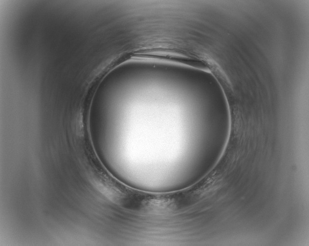 X0000069400251200605151026