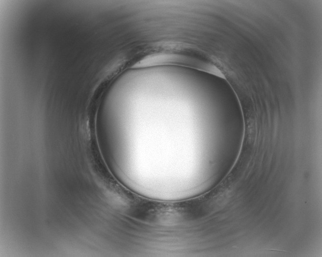 X0000069400254200605151026