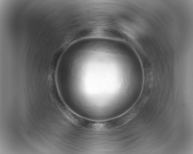X0000069400265200605151026