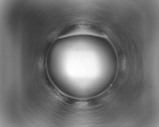 X0000069400266200605151026