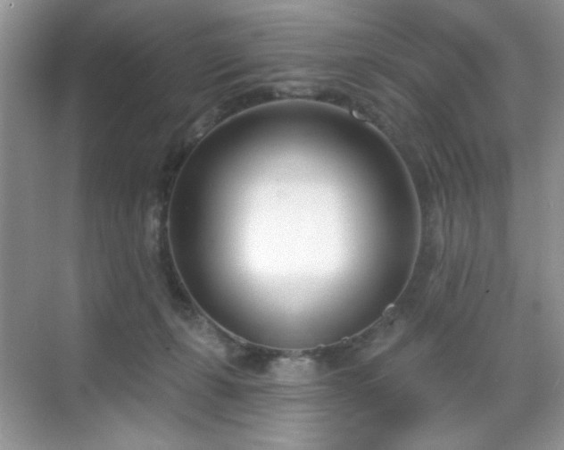 X0000069400271200605151026