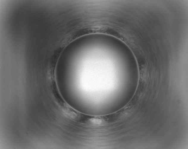X0000069400272200605151026