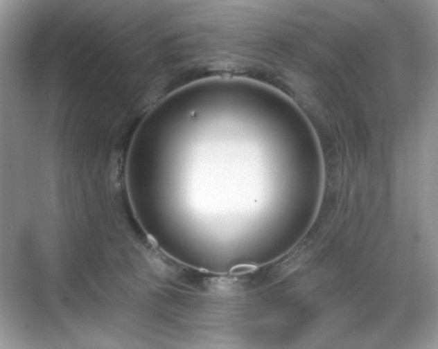 X0000069400273200605151026