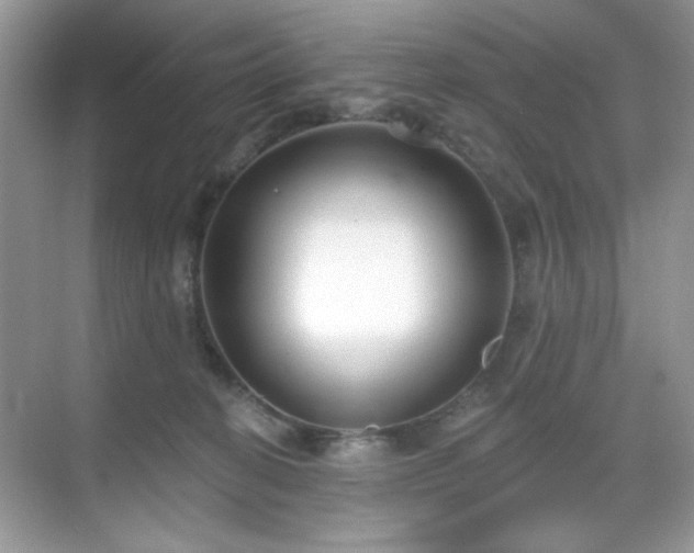 X0000069400274200605151026