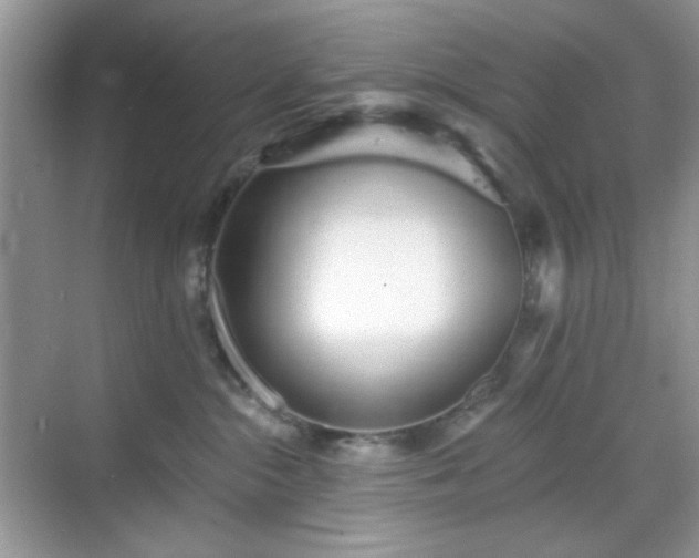 X0000069400284200605151027
