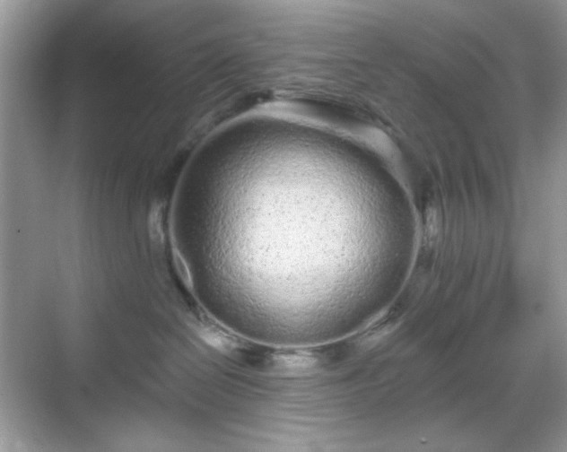 X0000069400286200605151027