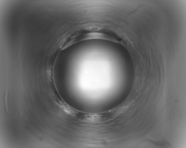 X0000069400288200605151027