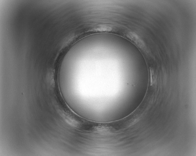 X0000069400300200605151026
