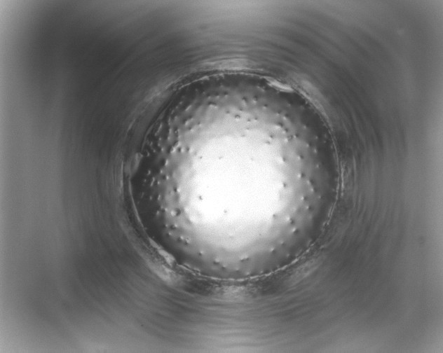 X0000069400301200605151026