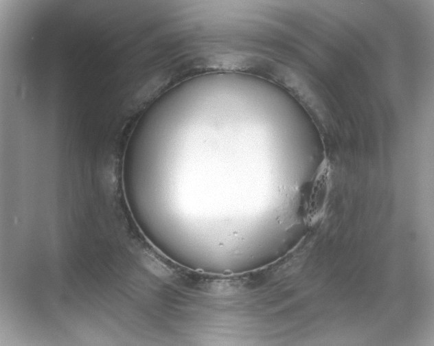 X0000069400305200605151026