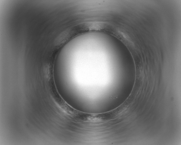 X0000069400311200605151025