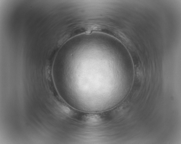 X0000069400322200605151025