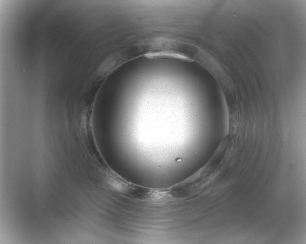 X0000069400333200605151025