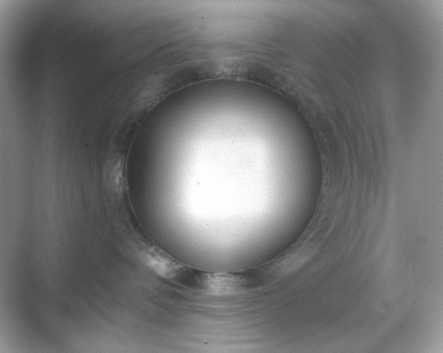 X0000069400336200605151025