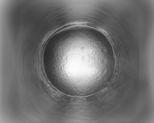 X0000069400337200605151024