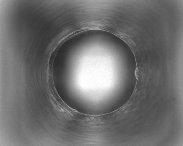 X0000069400338200605151024