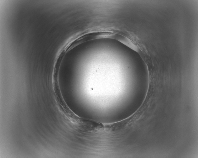 X0000069400340200605151024