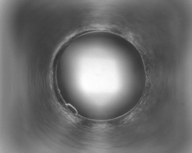 X0000069400342200605151024