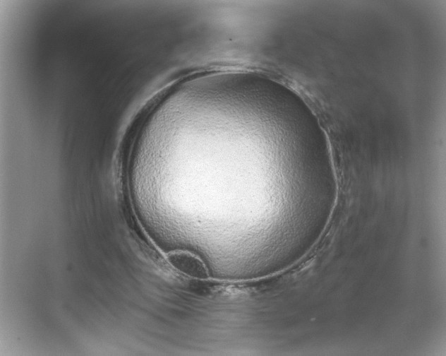 X0000069400343200605151024