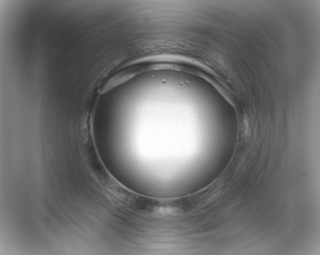 X0000069400360200605151025