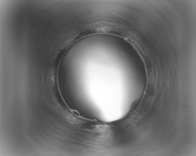 X0000069400363200605151025